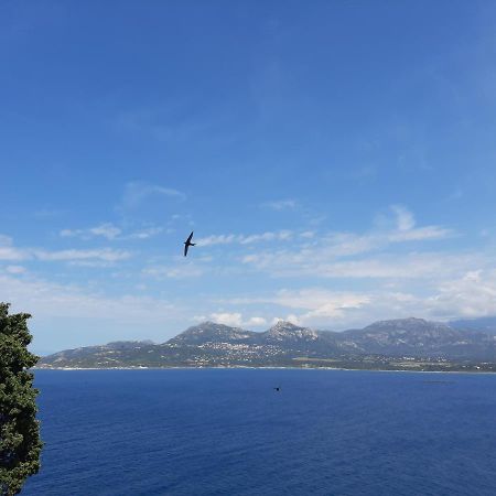 Appartamento Casa Santa Calvi  Esterno foto